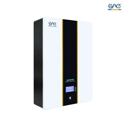 5KWH 100AH ​​51.2V BEFEPO4 BATTERY